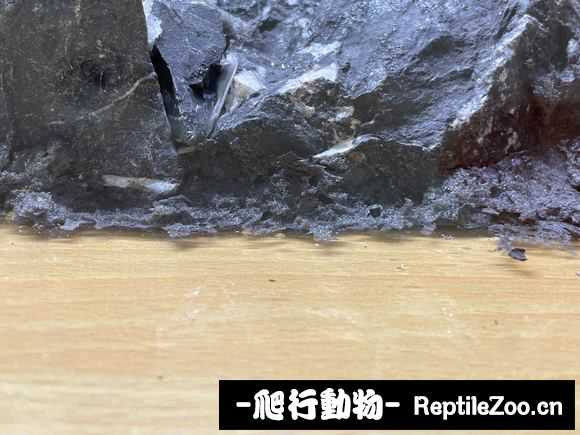 231729lqwuglyoofqdydro.jpg