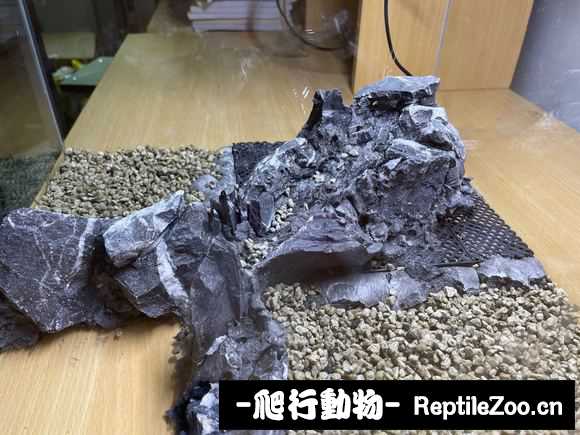 231732nzv7q28apbrbsa4b.jpg