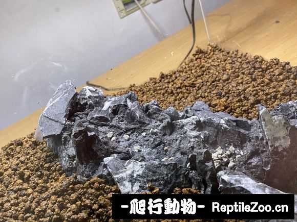 231733cfo5od1194h5ht9s.jpg