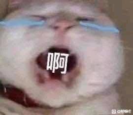 231757cza1rg3plgk9gazg.jpg
