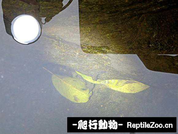 232426kpumpmb7mddoumym.jpg