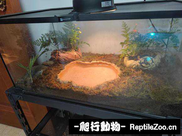 232757iw07rhp870y0hd7p.jpg