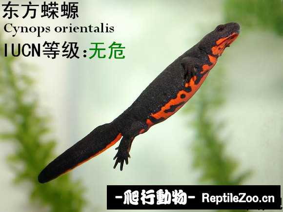 232953vjrsuqrur2bfb7en.jpg