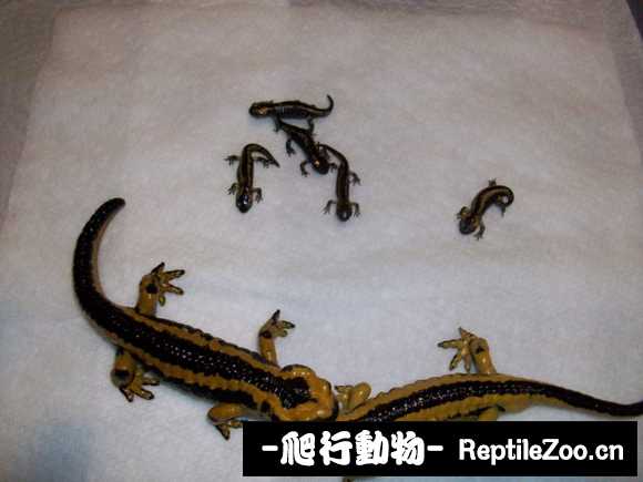 232955fu1572ywxoo7syoi.jpg