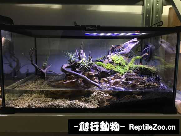 233117s0s11ngb91ibni1f.jpg