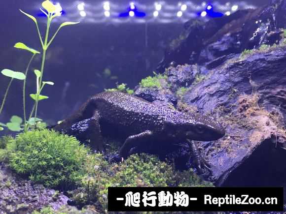 233117ul8h198pihgo9i1o.jpg