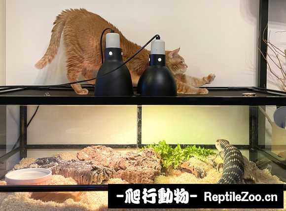 233314m4yr76jxjxrz45rr.jpg