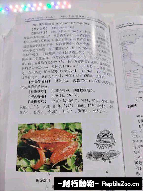 233431ezzxr03vcewx0b8c.jpg