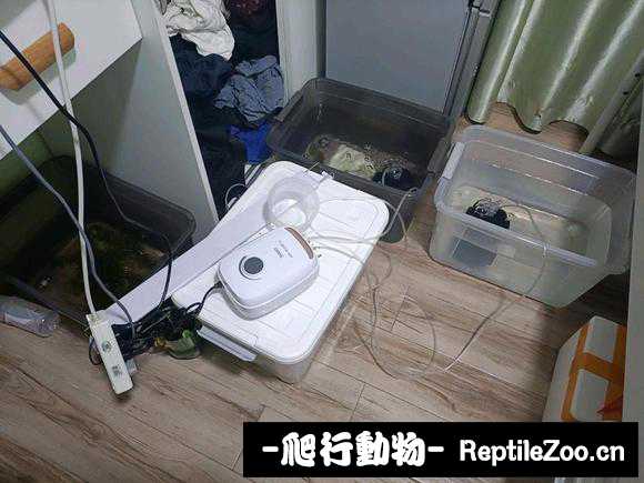 233431pcsc22g9nhzzh26h.jpg