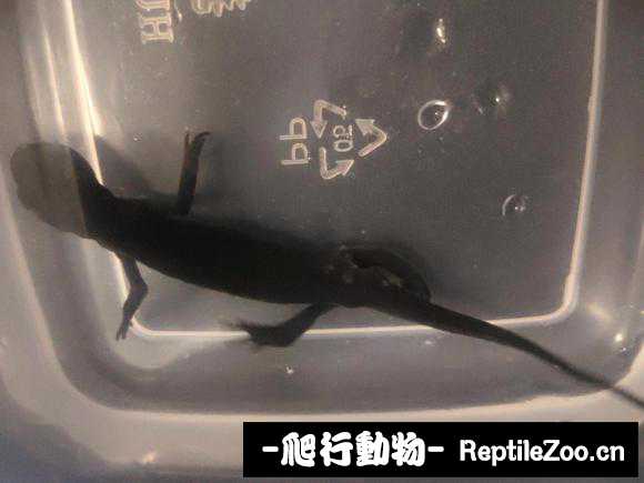 233447arsuqux5gmm5ebpz.jpg