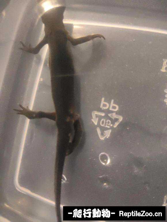 233447bm9hmwmkhvfezxmv.jpg
