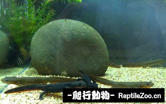 233932qtrg0ydpn6lx6nk6.jpg