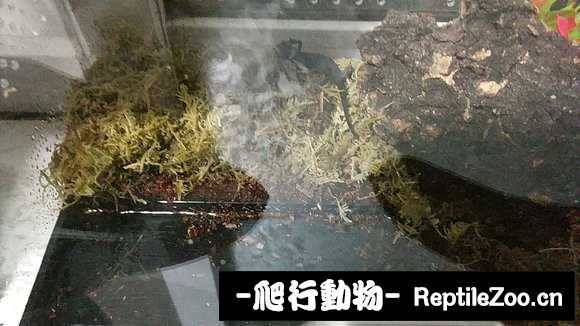 234210piu0fuyuyiu4fgig.jpg