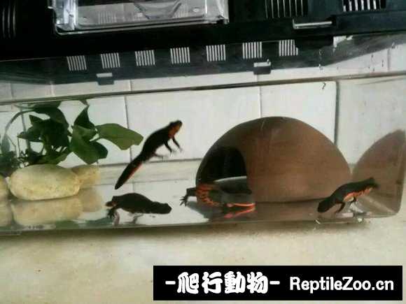 234211mh3h4hw4ywnh1hi3.jpg