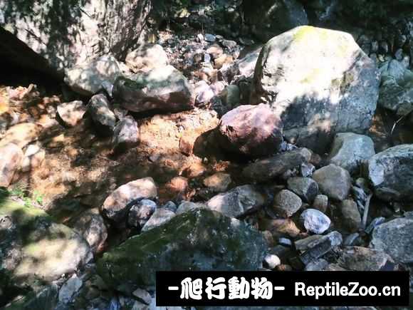 234439hbsegqj36zeigkzm.jpg