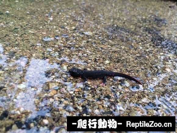 234441tkch17ai7hcgf99f.jpg