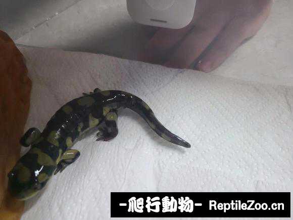 234630e4jk2435p30fc6zq.jpg