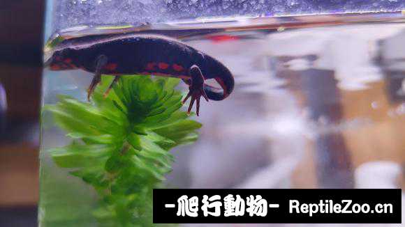 234748ngobggyucynu0b0g.jpg