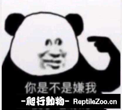 234805g6d8un86kcnad8ym.jpg