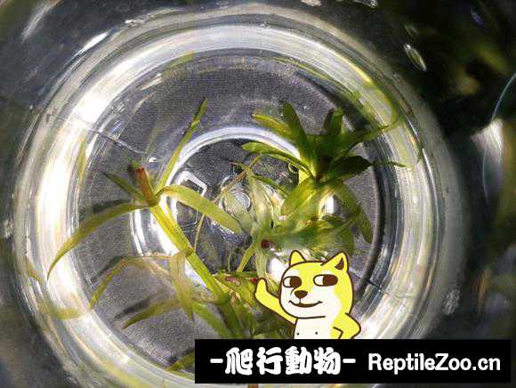 235309nz0zv5fu0hvi05fm.jpg