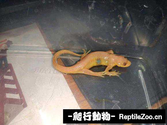 235320lrojqqtzuqqt1999.jpg