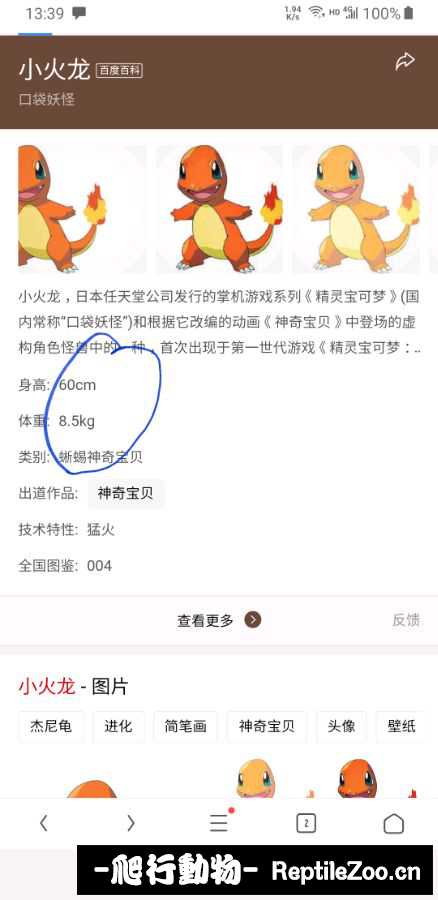 235521ybc6ewuwcjq8wa7p.jpg