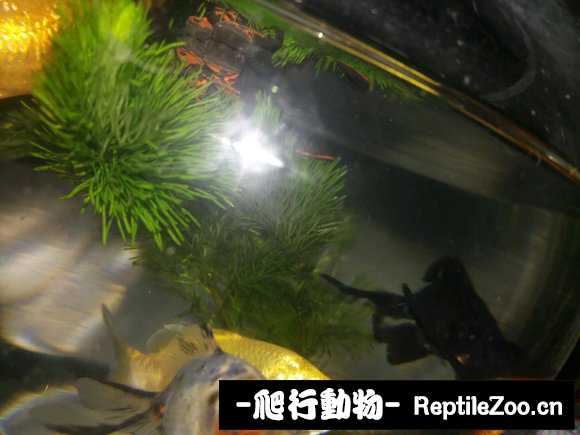 235702mocah3qt3zshgy3h.jpg