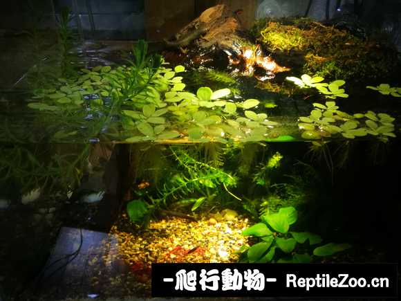 021508giz80wa3nq88cfya.jpg