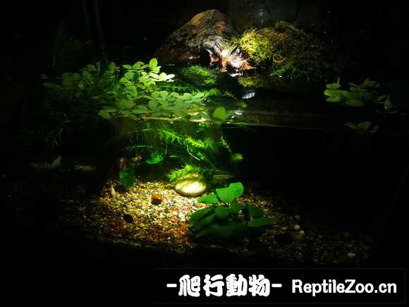 021513zzpc21azc5ttcvwj.jpg