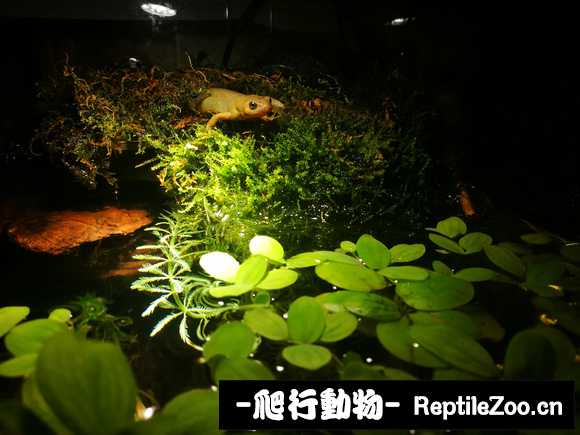 021531juioscx672spj9hi.jpg