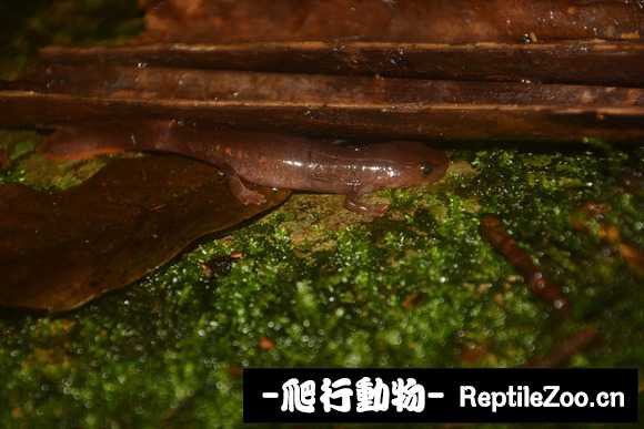 025519hmy7ru7siu8w2sut.jpg