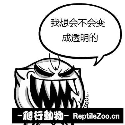 040023dwjtxn5dz099wdm0.jpg