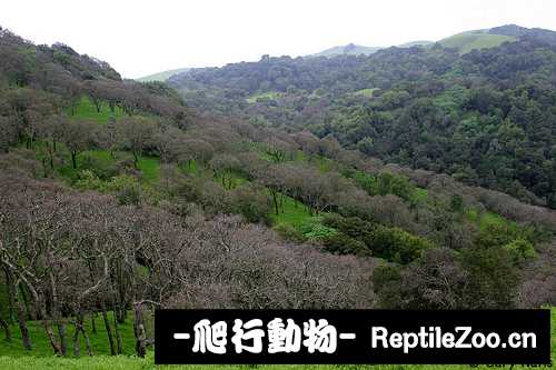 041515tbqhzrurbmr9b859.jpg