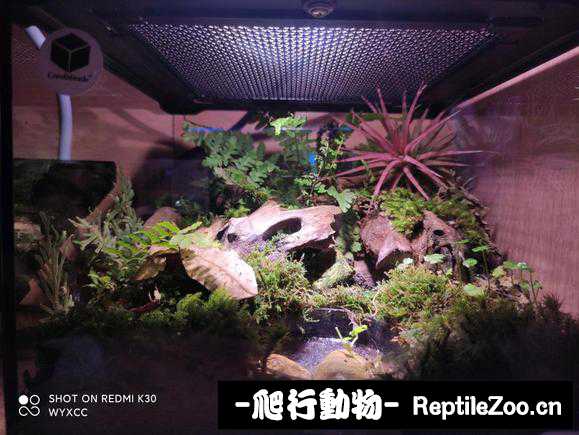 042021fto7dp4fvqrqfab8.jpg