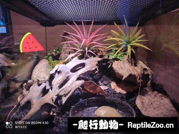 042024n0jn3qgn7er3tj0b.jpg