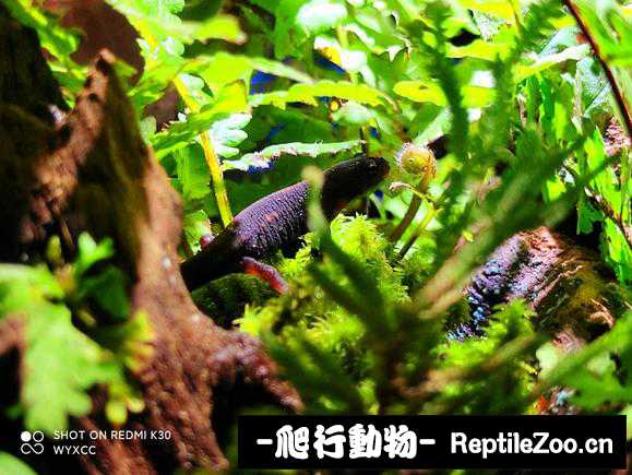 042028xvcbhcqzehzuc29f.jpg