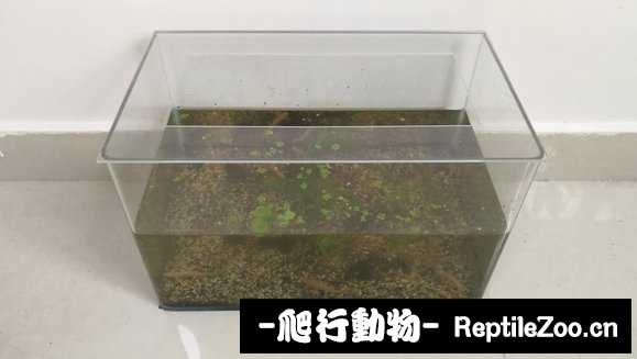 060512ruii8qz5mvqv1tpr.jpg