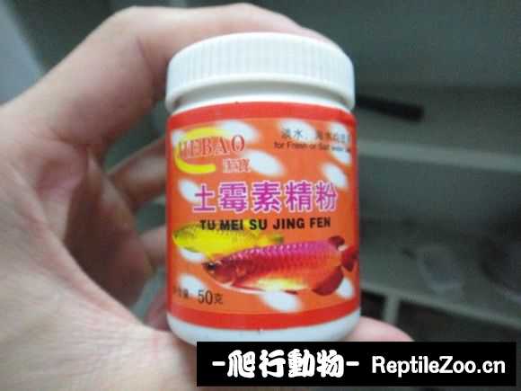 073012gtthi4vr30jok0ts.jpg