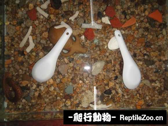 073013w8w49pgp4pz4ptpv.jpg