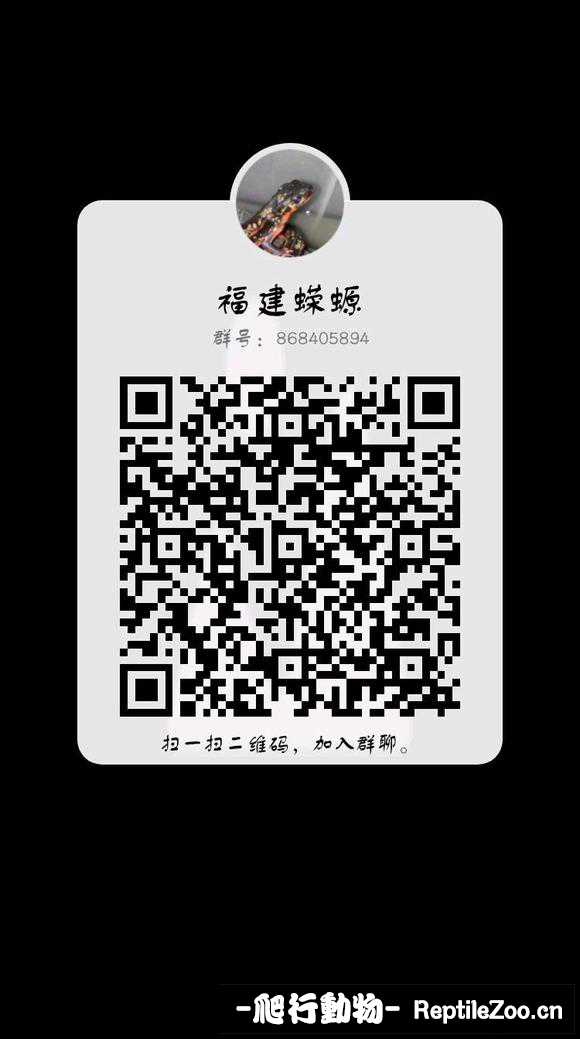 073504b337pfmdp797m3xn.jpg