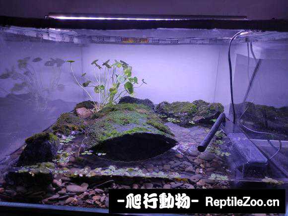 084033mix6b9axbtujjs6t.jpg