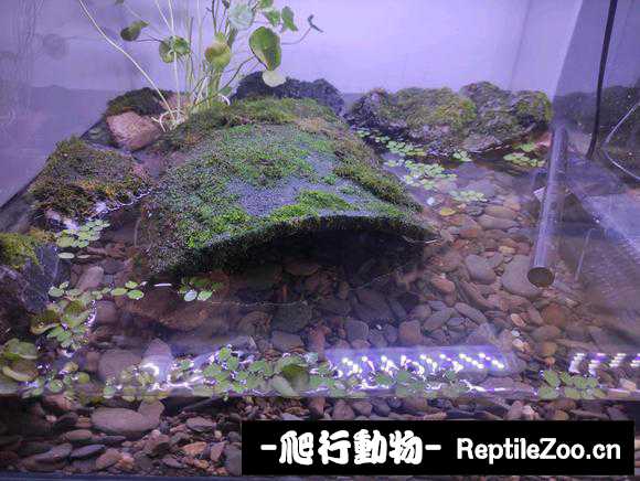 084034pkzcc2mgzho111ho.jpg