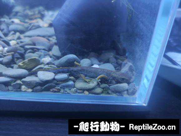 084038rnoqoqqq3q2n05ob.jpg