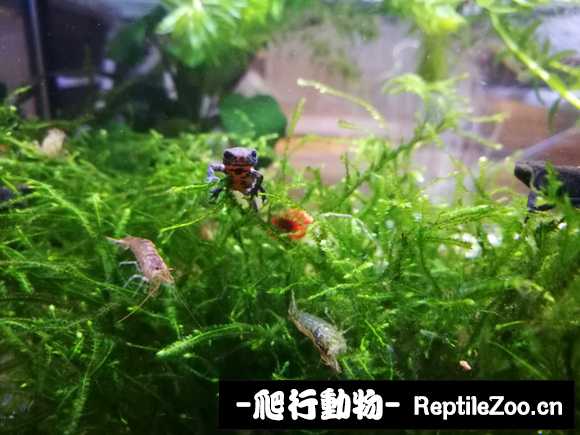 084104jqegjqzmqjhqajk1.jpg