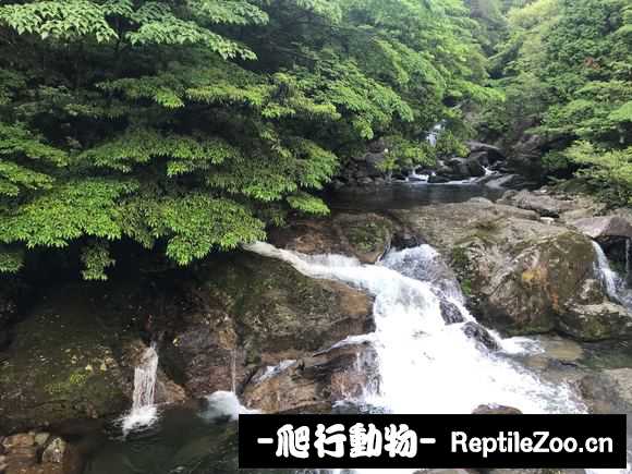 084258lus0h7fl7h57kjzh.jpg