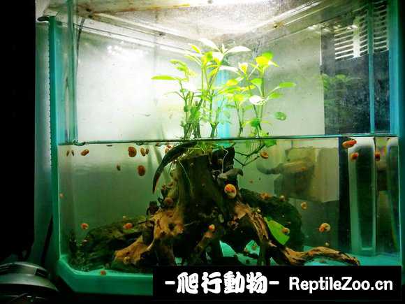 084606rludplwsn5tww6um.jpg