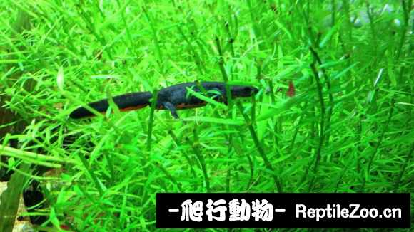 085019j37ryosyccwgrx7r.jpg