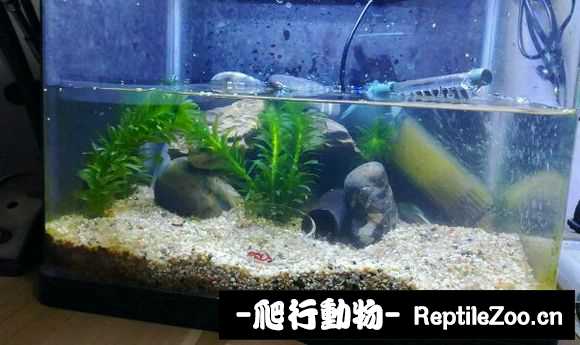 085024yhetqhrtht2k5h7d.jpg