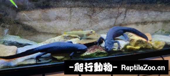 085142td3jm2dpd63d549d.jpg