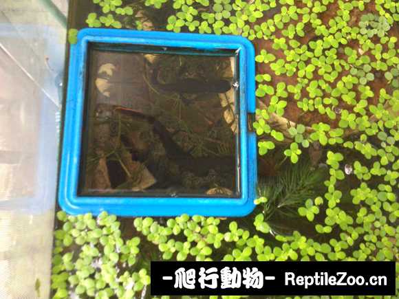085240mpppkqkp3h5m3wq8.jpg